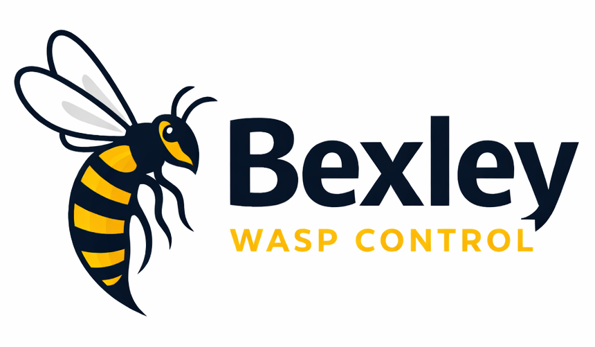 Bexley Wasp